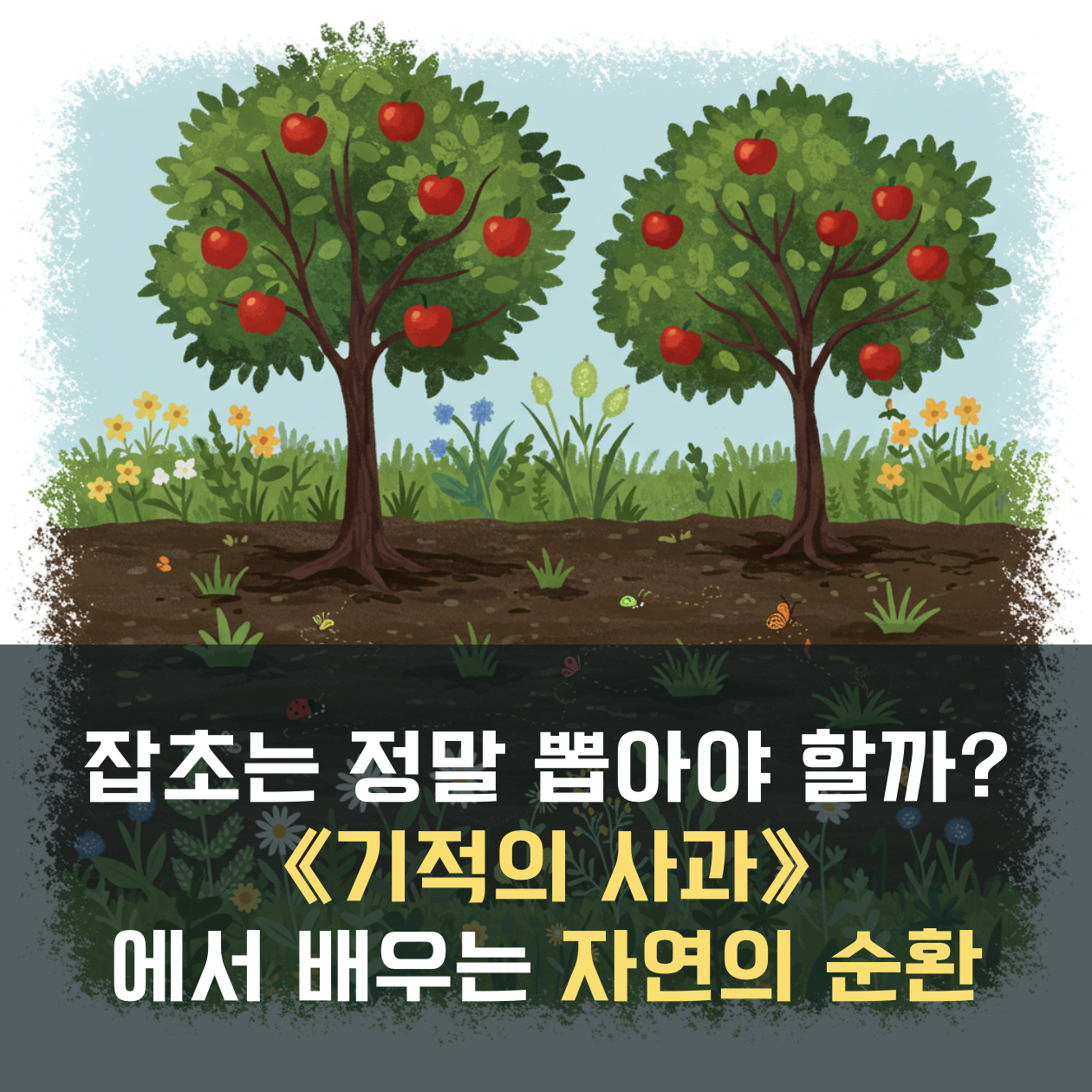 Miracle Apples